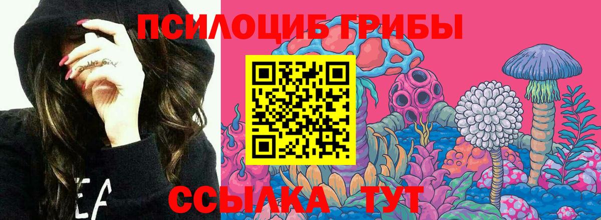 Псилоцибиновые грибы Psilocybe  Вход с VPN  Барабинск  Галлюциногенные грибы Psilocybe 