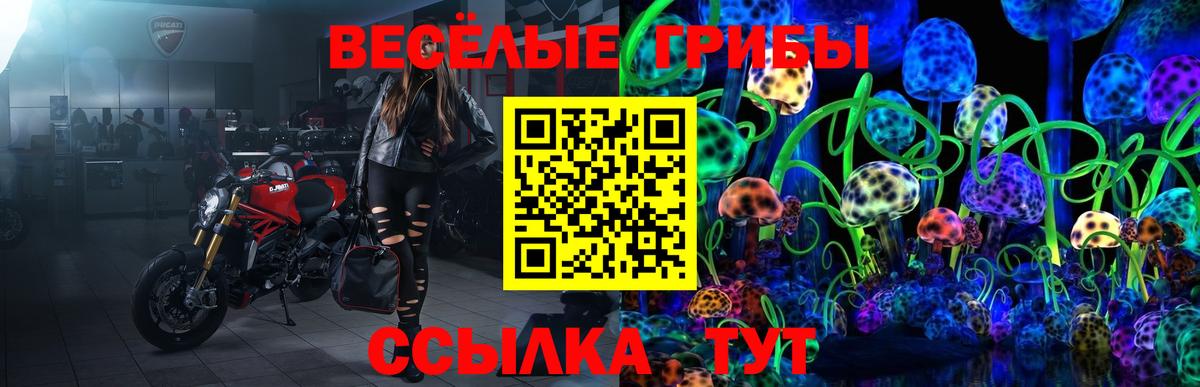 Галлюциногенные грибы прущие грибы Барабинск